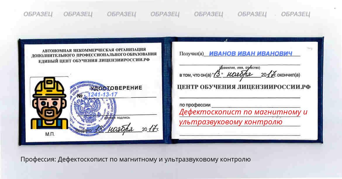 Дефектоскопист по магнитному и ультразвуковому контролю Новомичуринск